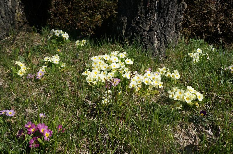 2013 04 14 A